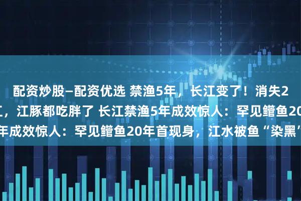 配资炒股—配资优选 禁渔5年，长江变了！消失20多年“稀客”重回赣江，江豚都吃胖了 长江禁渔5年成效惊人：罕见鳤鱼20年首现身，江水被鱼“染黑”？