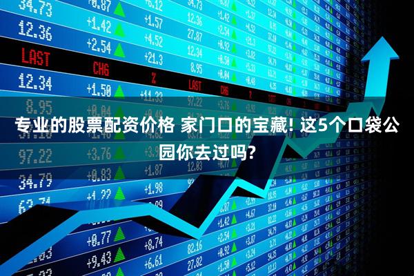 专业的股票配资价格 家门口的宝藏! 这5个口袋公园你去过吗?